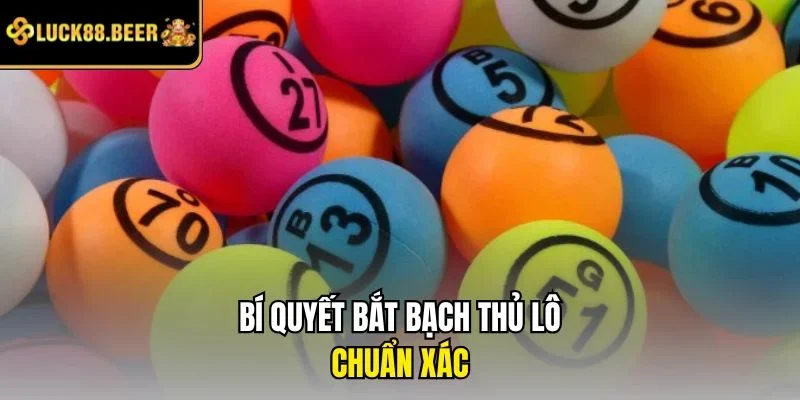 Bí quyết bắt bạch thủ lô chuẩn xác