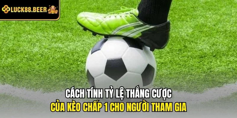 Cách tính tỷ lệ thắng cược của kèo chấp 1 cho người tham gia